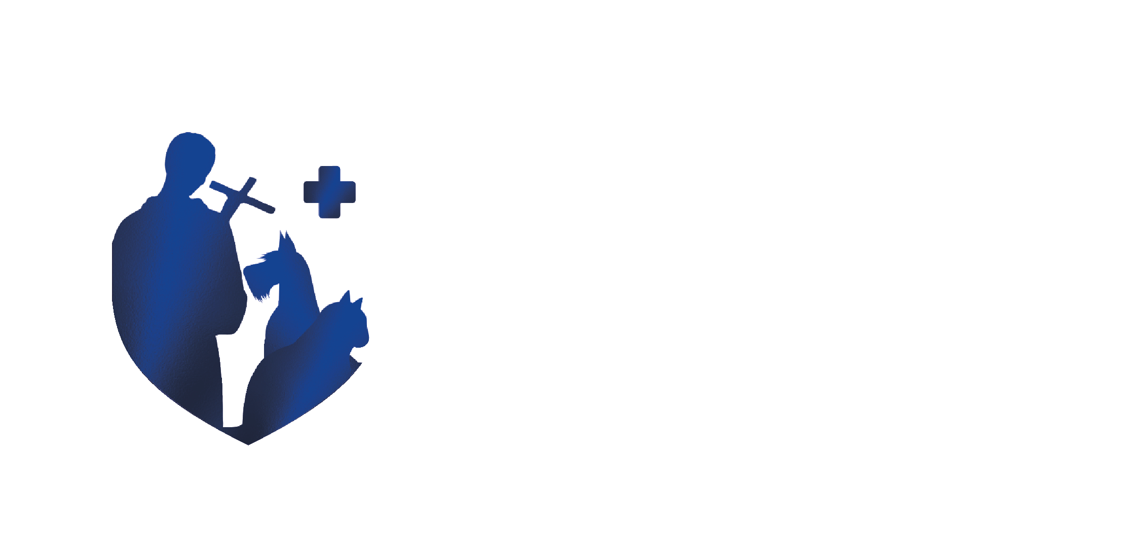 Instituto San Martin de Porres